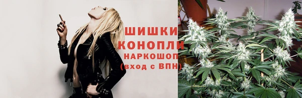 крисы Саяногорск
