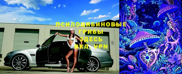 крисы Саяногорск