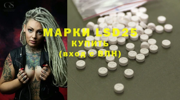 PSILOCYBIN Армянск