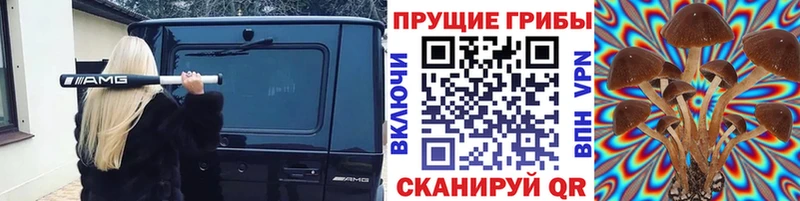 Псилоцибиновые грибы прущие грибы  Буй 
